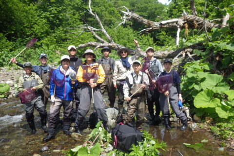 今年もイワウベツ川にて魚類調査（春）を行いました！